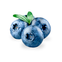 Estratto di Mirtillo biologico