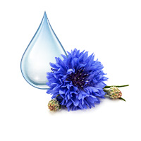 Cornflower distilled water