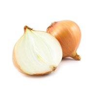 Onion extract